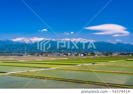 (富山縣)北部阿爾卑斯山的稻田和山脈 (富山縣)北部阿爾卑斯山的稻田和山脈 54374414