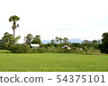 Landscape of rice fields with natural beauty 54375101