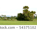 Landscape of rice fields with natural beauty 54375102
