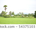 Landscape of rice fields with natural beauty 54375103