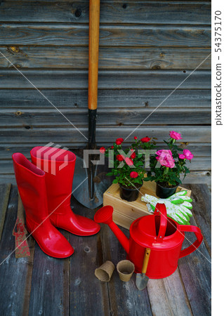 Shovel, watering can, hat, rubber boots, box of flowers, gloves and garden tools Shovel, watering can, hat, rubber boots, box of flowers, gloves and garden tools 54375170