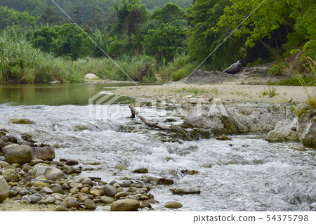 The landscape of the river flows through the rocks The landscape of the river flows through the rocks 54375798