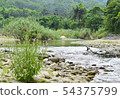 The landscape of the river flows through the rocks 54375799