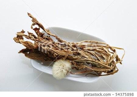 幹蒲公英 54375898