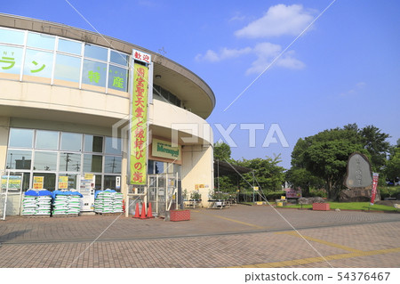 埼玉縣武馬山路站 埼玉縣武馬山路站 54376467