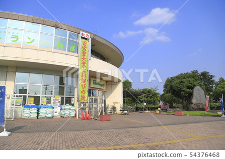 埼玉縣武馬山路站 54376468