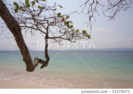 Tropical beach at Andaman sea,Thailand Tropical beach at Andaman sea,Thailand 54378073