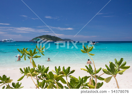 Tourists swimming in the blue sea Tourists swimming in the blue sea 54378076