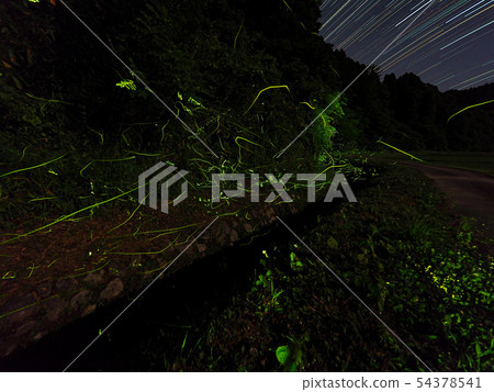 螢火蟲和星星的痕跡 螢火蟲和星星的痕跡 54378541