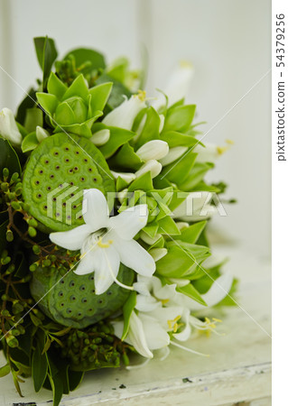 Green bouquet of lotus fruits 54379256