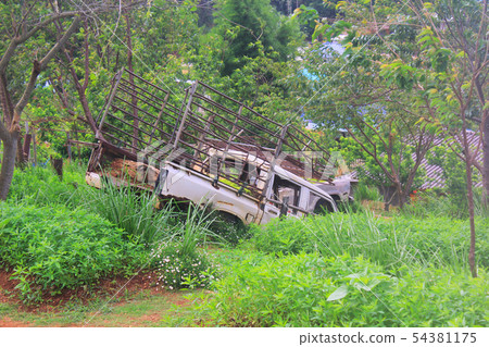 The car is rusty and broken in the green field on  54381175