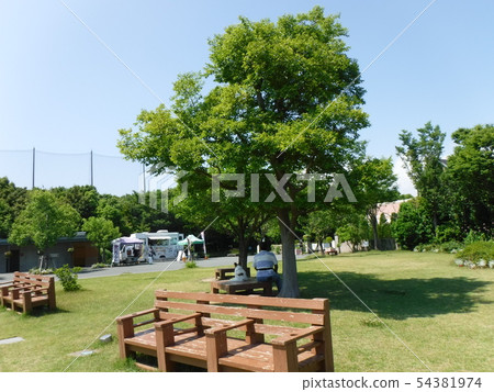 Cool man and dog on a park bench Cool man and dog on a park bench 54381974