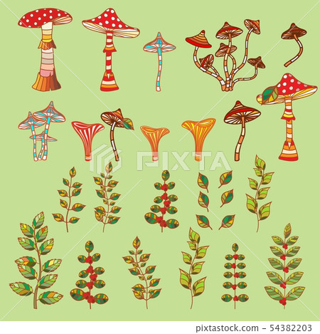 Mushrooms, toadstools and toadstools. Mushrooms, toadstools and toadstools. 54382203