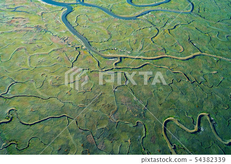 Estuary at Bair Island Marine Park in Redwood City, CA, Estuary at Bair Island Marine Park in Redwood City, CA, 54382339