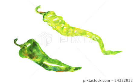 Watercolor green pepper Watercolor green pepper 54382933