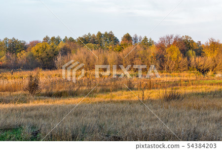 Ros river autumn landscape, Ukraine. 54384203