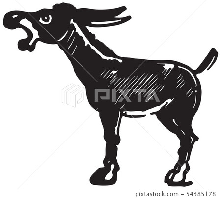Donkey Donkey 54385178
