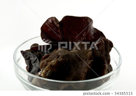 活潑的石斑魚 54385515