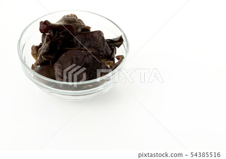 活潑的石斑魚 54385516