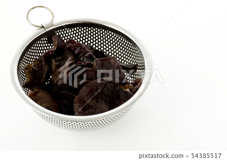 Lively grouper 54385517