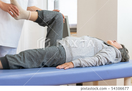 Orthopedics Orthopedics 54386677