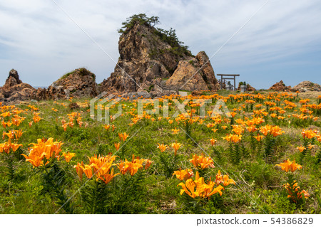 Iriyuri Iriyuri 54386829