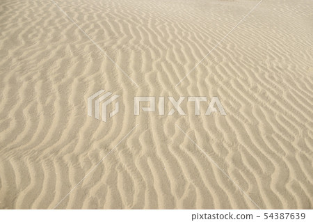 Wind print on sandy beach Wind print on sandy beach 54387639