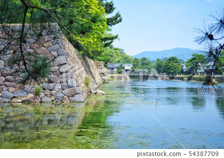 Matsue Castle Mizubori and Ishigaki Matsue Castle Mizubori and Ishigaki 54387709