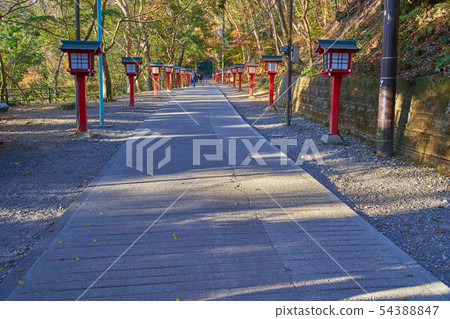 Takaoyama Yakuin Joshin門紅燈電燈泡在秋天在八王子市,東京 Takaoyama Yakuin Joshin門紅燈電燈泡在秋天在八王子市,東京 54388847