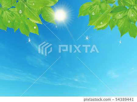 在雨以後的新鮮的綠色和藍天 54389441