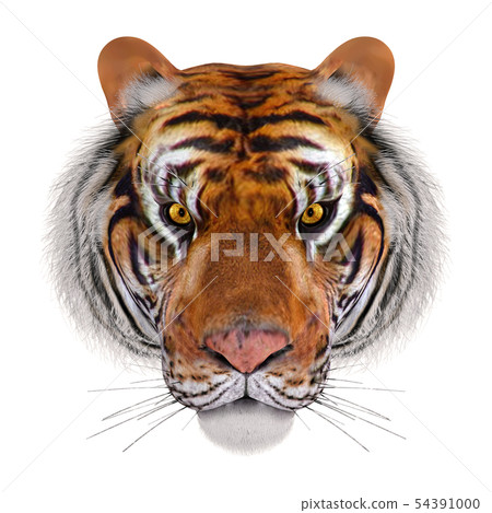 Tiger's face 54391000