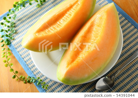 Melon Plated Dessert 54391044