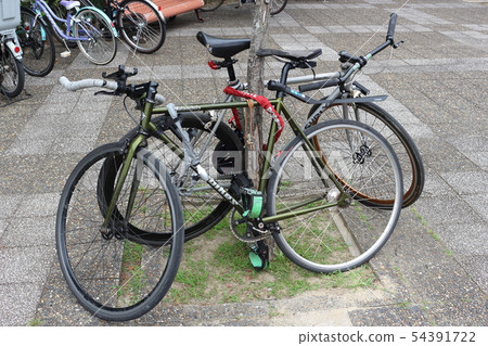 Bicycles parked on street trees 54391722