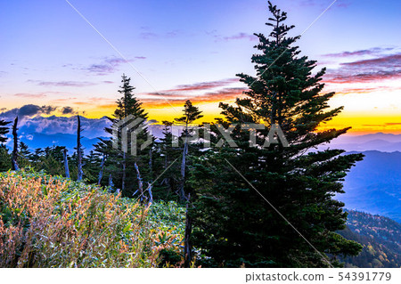 Autumn shibuya morningburn [Gunma Prefecture] 54391779