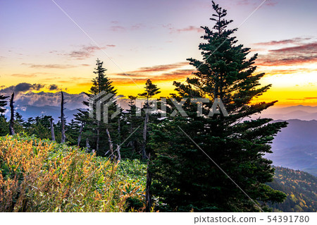 Autumn shibuya morningburn [Gunma Prefecture] 54391780