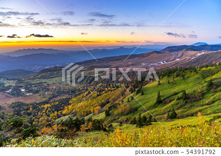 秋季澀谷晨曦[群馬縣] 54391792