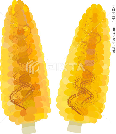 Grilled corn - Stock Illustration [54391883] - PIXTA