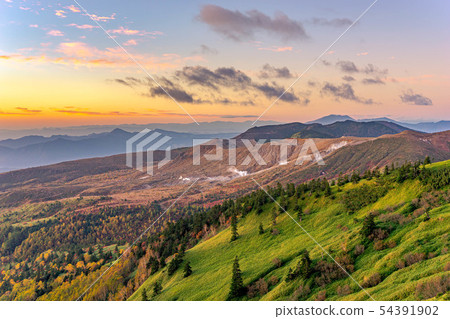 Autumn shibuya morningburn [Gunma Prefecture] 54391902