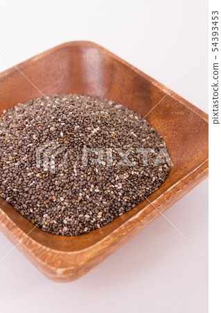 正大種子 正大種子 54393453