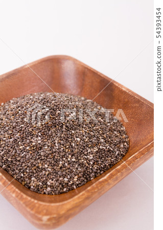 正大種子 54393454