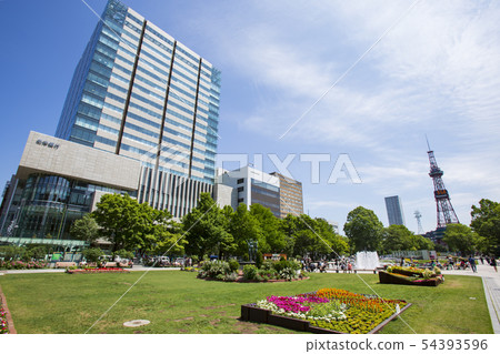 札幌大通公園 54393596