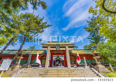 Osaka Sumiyoshi Taisha Square Torii and Koyumon 54393923