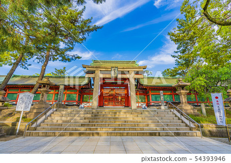 大阪住吉大社廣場鳥居和小桐 大阪住吉大社廣場鳥居和小桐 54393946