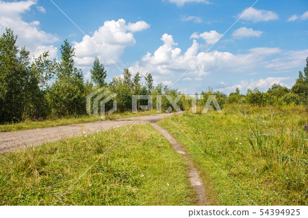 dirt road in the forest dirt road in the forest 54394925