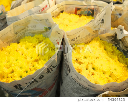 Thailand Bangkok Park Clone Flower Market 54396823