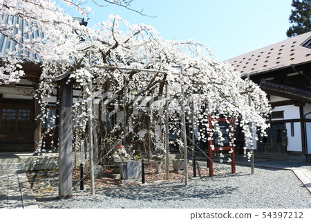 Moriokashidare of Gogokuyama Ryukoku-ji Temple 54397212