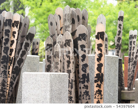 Cemetery 54397604