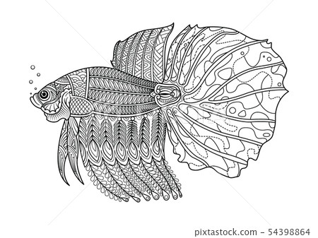 Fighting fish hand drawn coloring page. Fighting fish hand drawn coloring page. 54398864