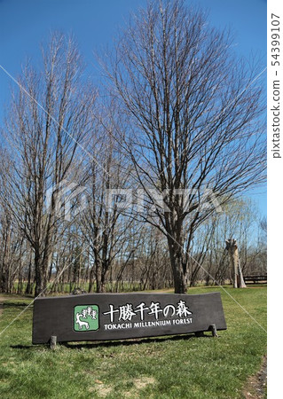 Tokachi Sennen no Mori（北海道清水町） 54399107