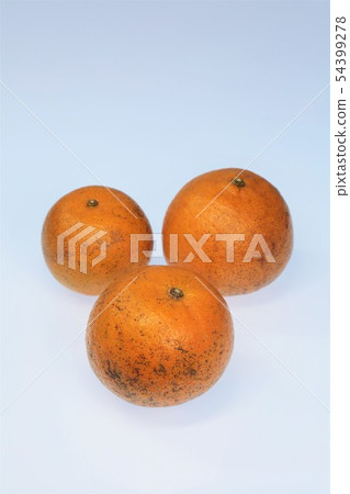 Tankan Tankan 54399278